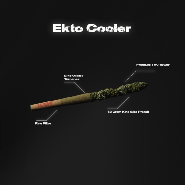 Ekto Kooler – 2 x 1.3G King Size THCa Pre-Rolls - Image 4